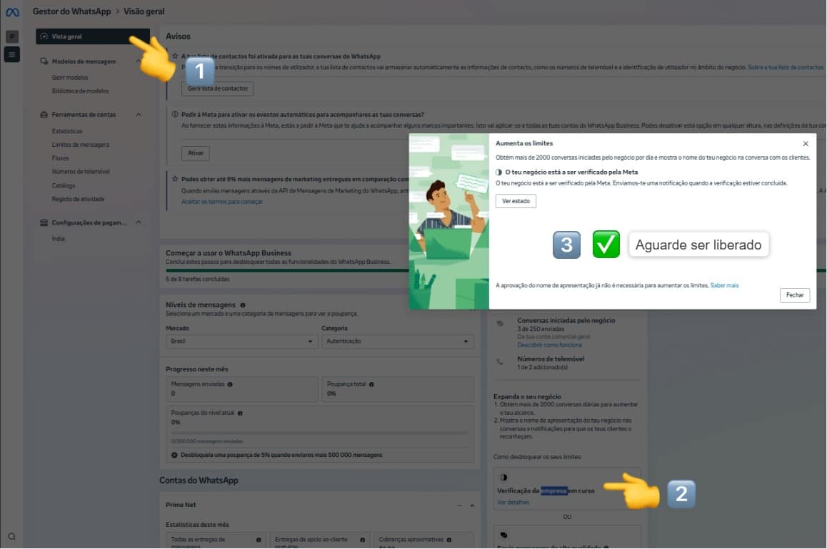 Status da conta Meta - Tela 2
