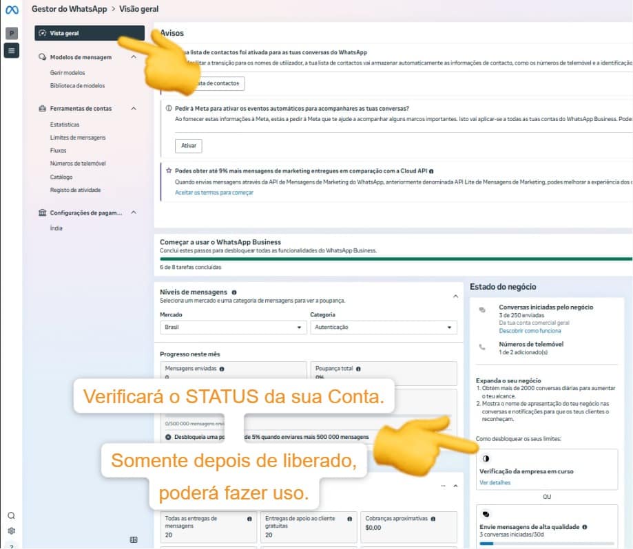 Status da conta Meta - Tela 1
